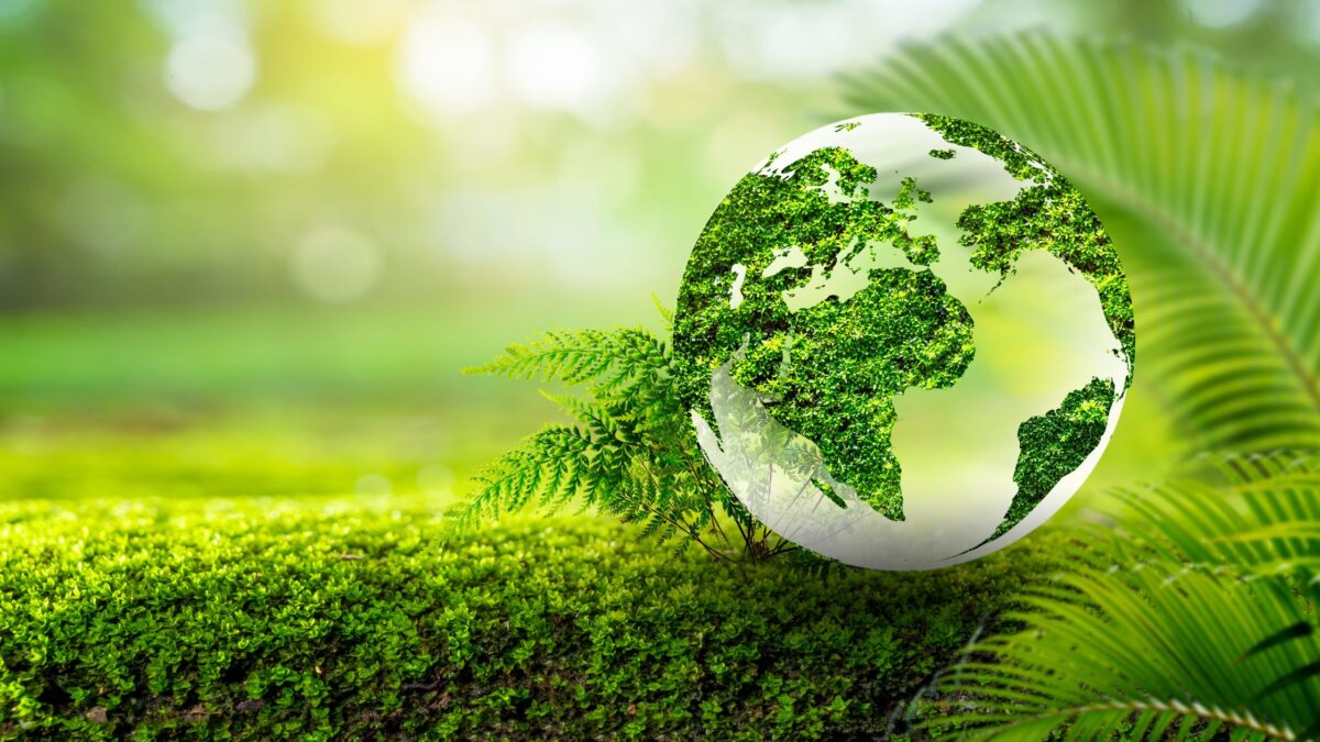 World Environment Day 2024: Protecting Our Planet Together